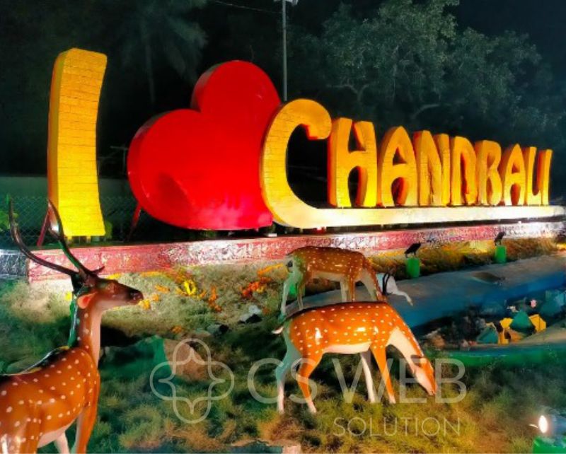 Affordable Digital Marketing Company in Chandbali